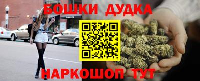 индика Новозыбков