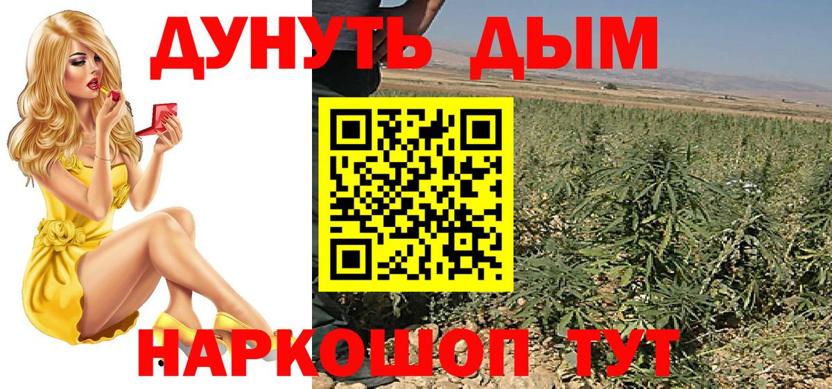 Канабис White Widow  Бошки марихуана White Widow  Сатка  Вход с VPN  Бошки марихуана Bruce Banner 